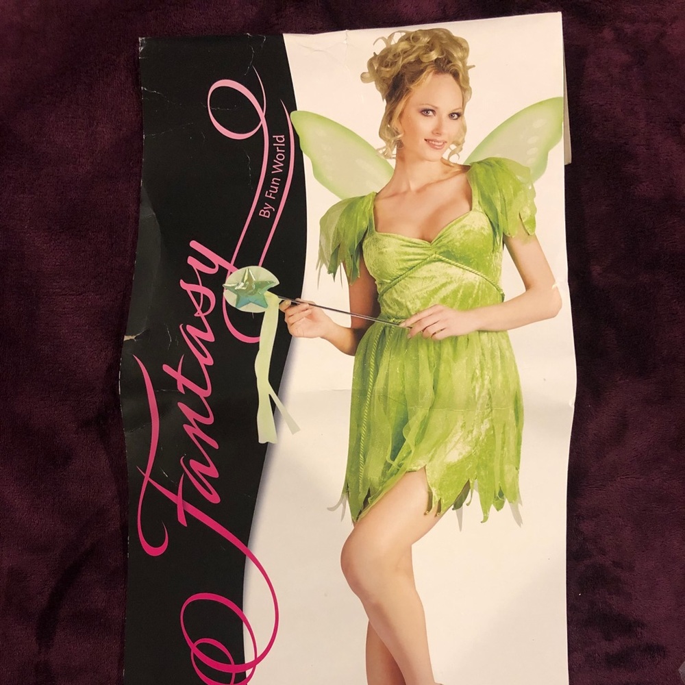 Tinker Bell Costumeb with hand made skirt
